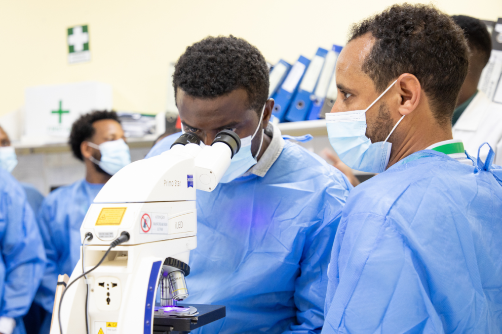 Global Health Update: Key Trends and Challenges in 2026