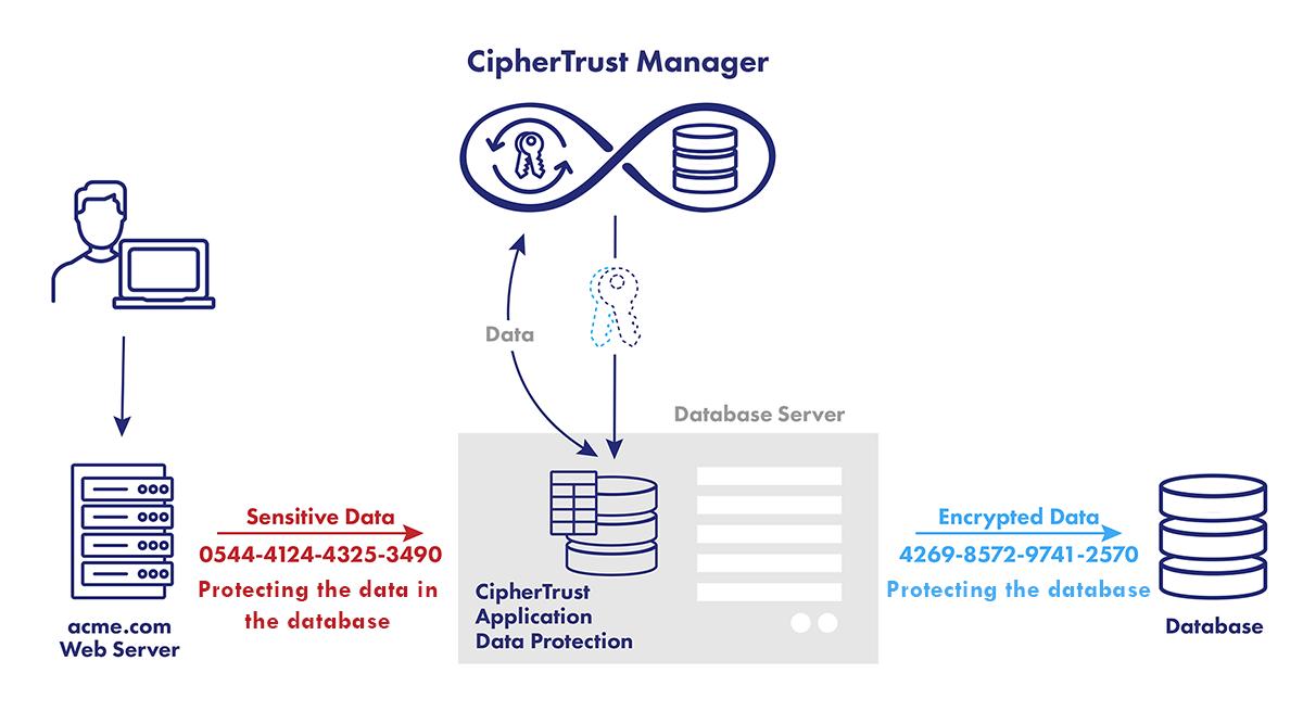 Database Security in 2026: Protecting Data from Unauthorized Access and Cyber Threats