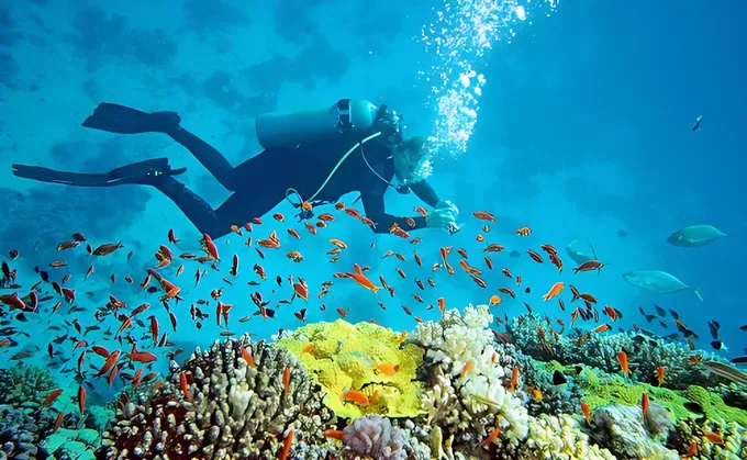 Scuba Diving in Andamans – Unveiling Underwater Wonders