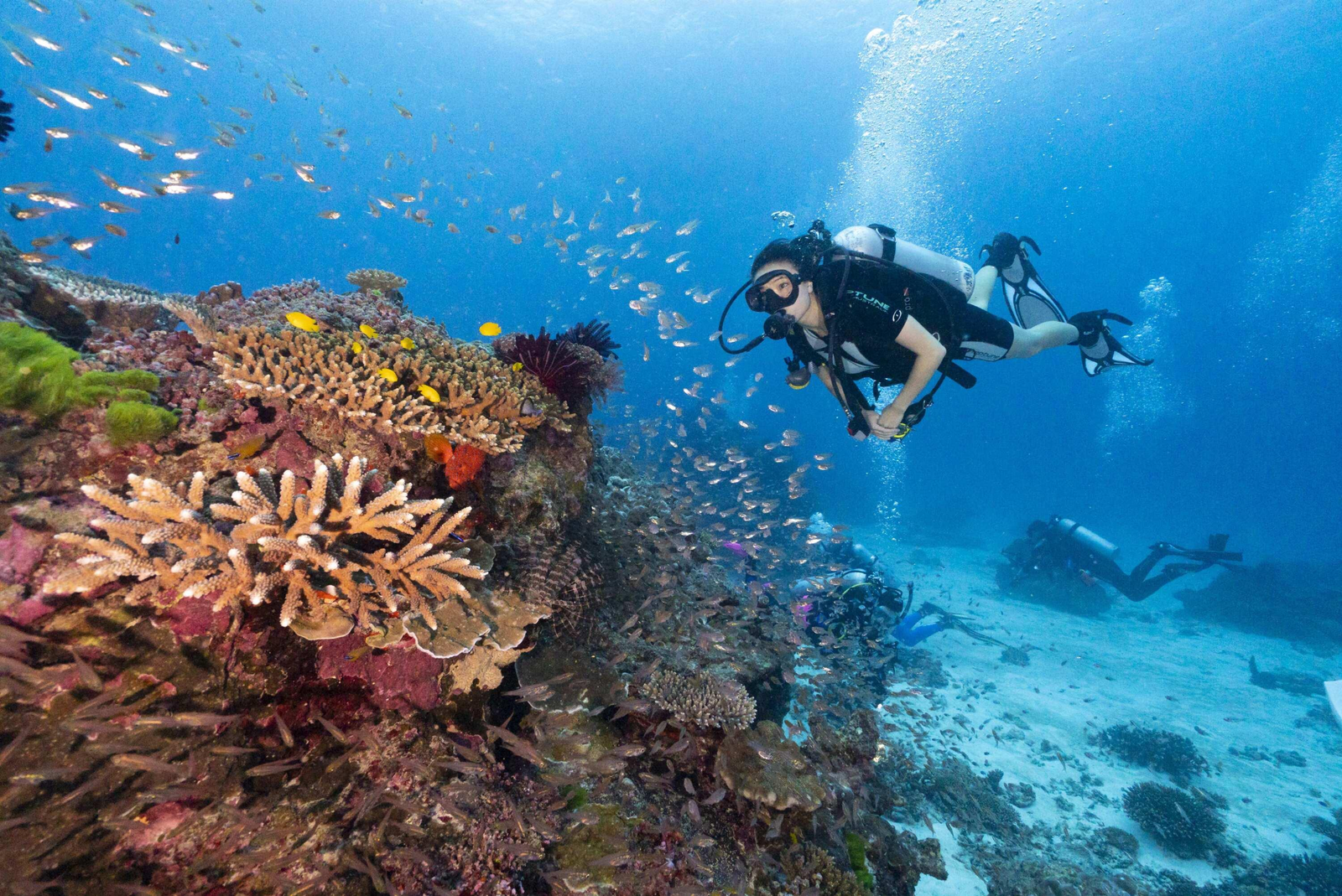 Scuba Diving Adventure – Explore the Hidden Wonders Beneath the Ocean