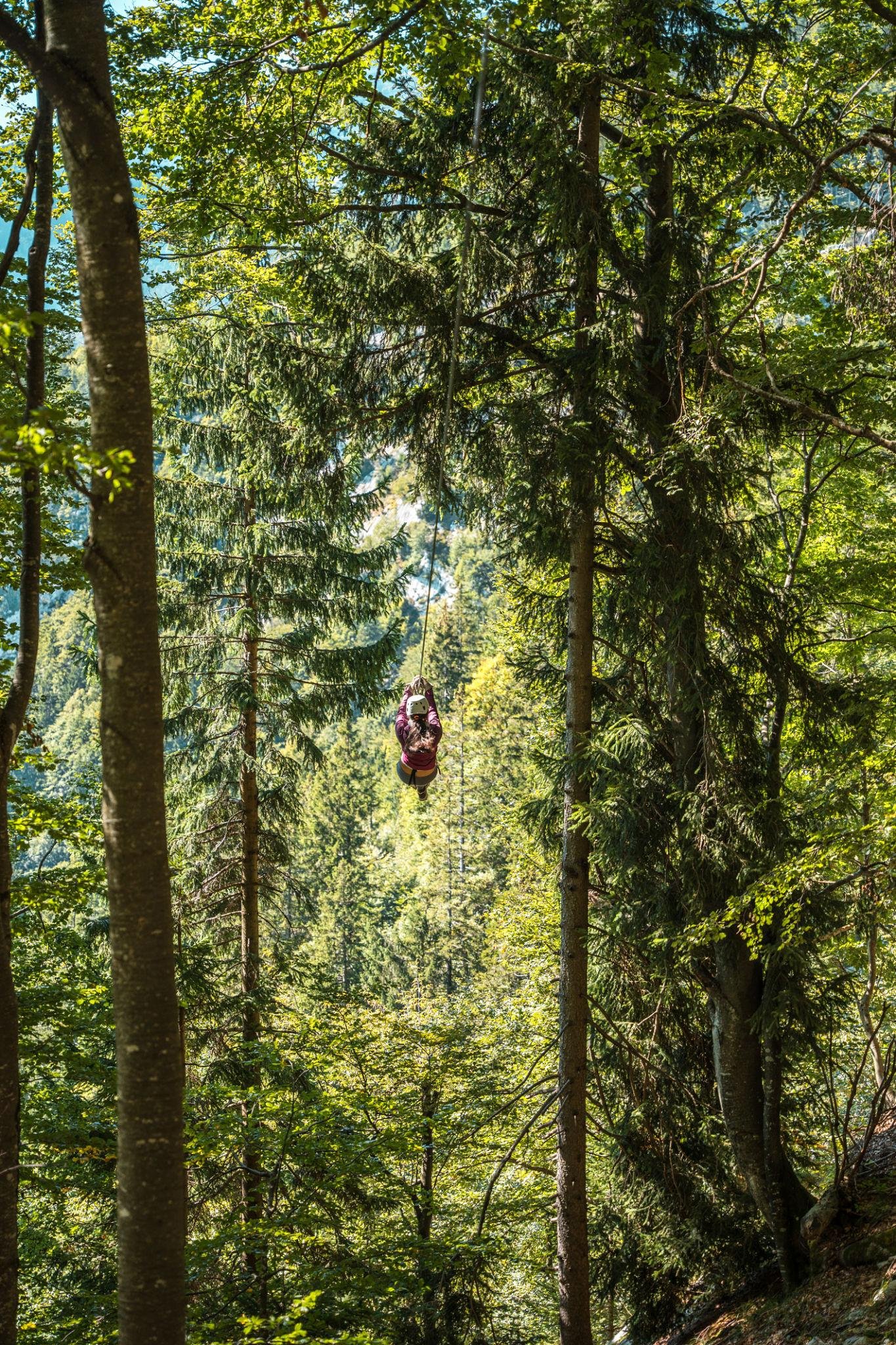 Forest Ziplining Adventure – Fly Through Nature Like Never Before