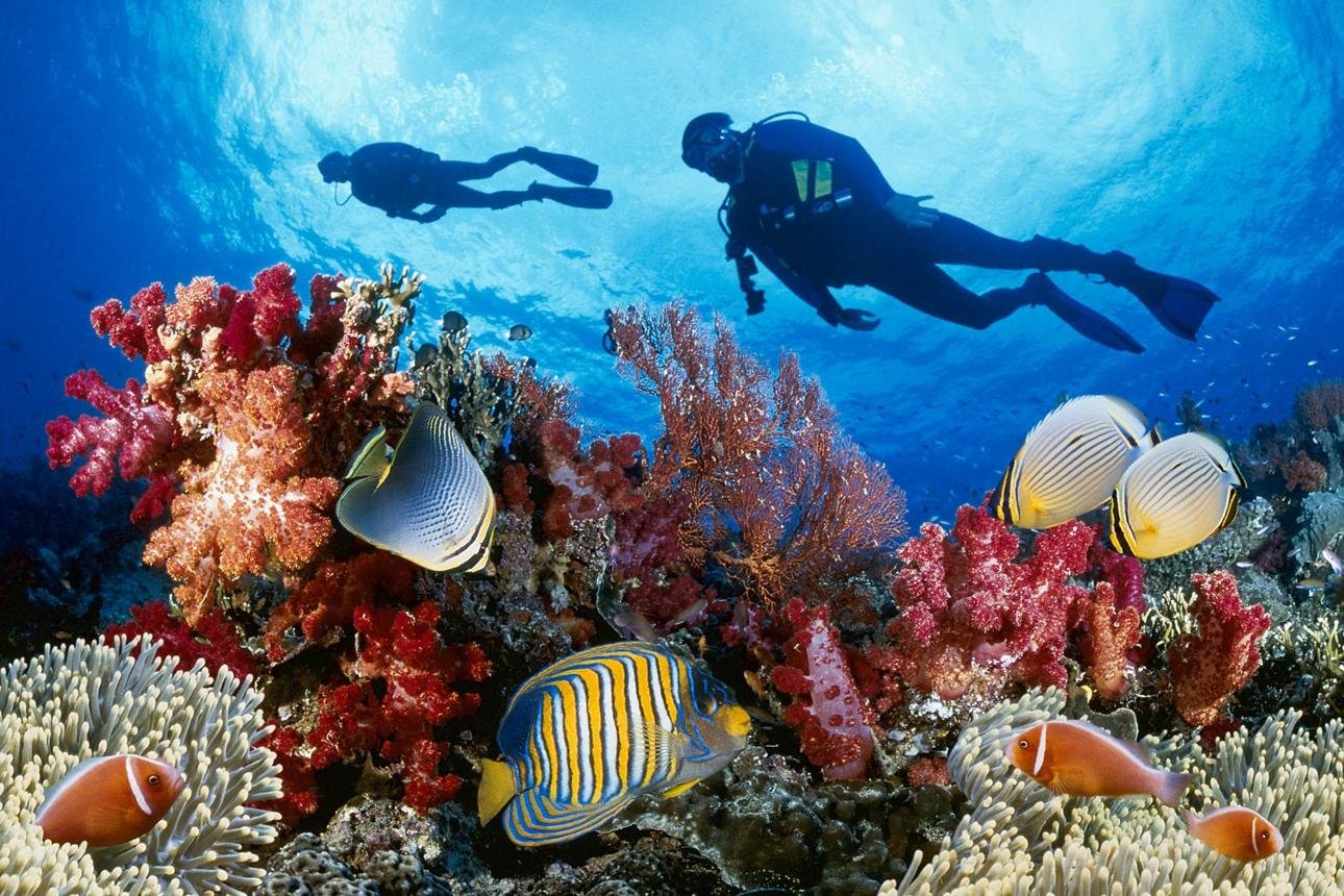 Adventure Special – Scuba Diving: Discover the Hidden World Beneath the Ocean