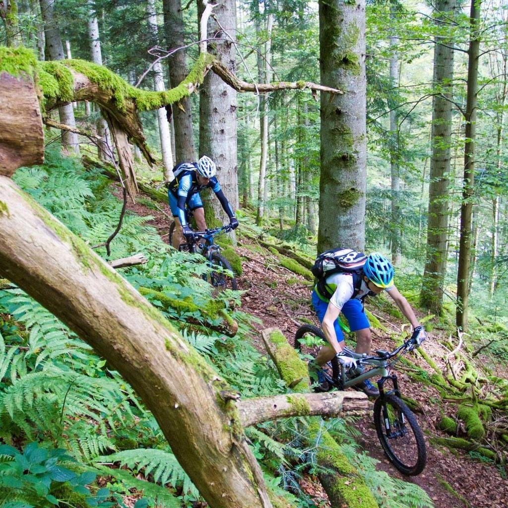 Adventure Special – Mountain Biking: Ride Through the Wild